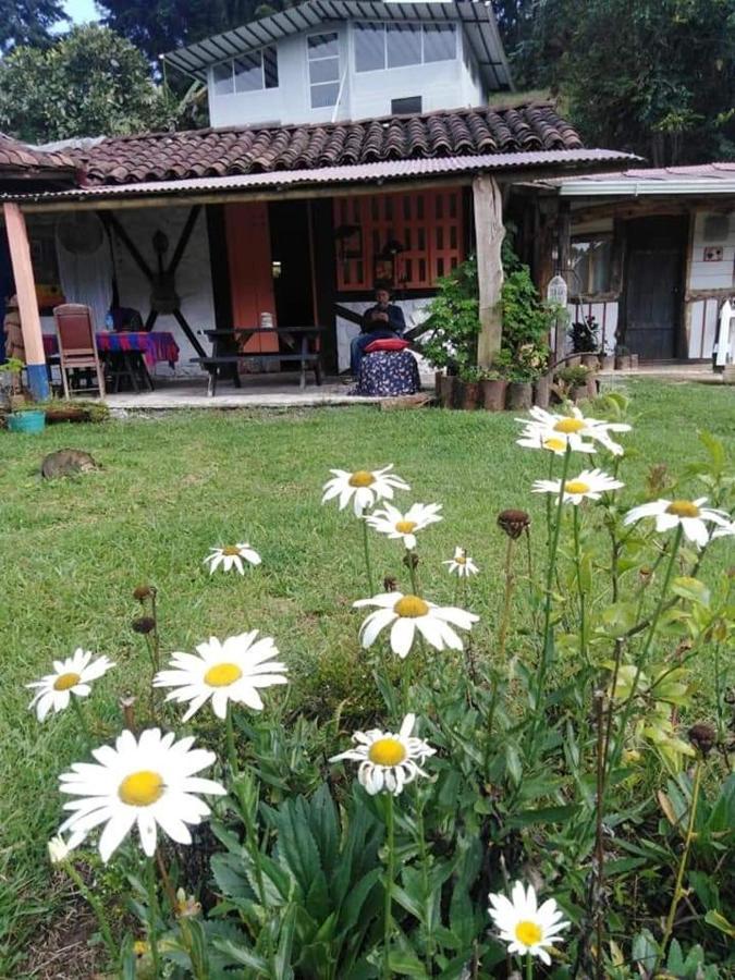 Tarragona Hostal 산타 로사 데 카발 외부 사진