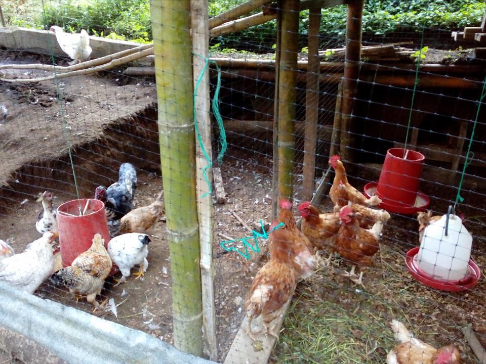 Tarragona Hostal 산타 로사 데 카발 외부 사진